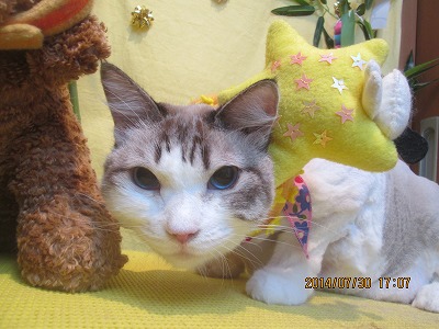 ファイル 7880-3.jpg