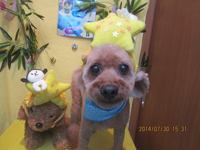 ファイル 7881-1.jpg