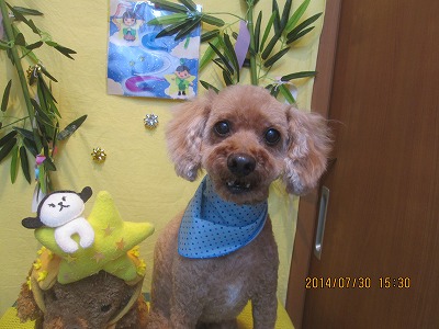 ファイル 7881-2.jpg