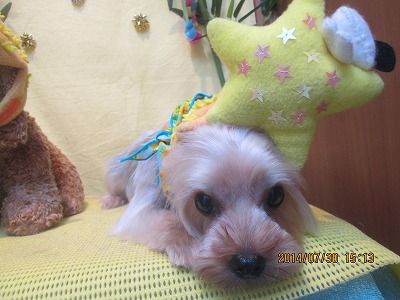 ファイル 7882-1.jpg