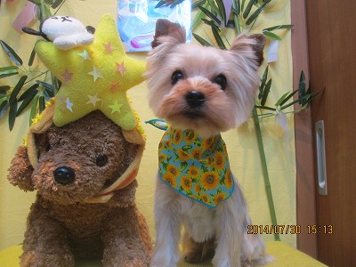 ファイル 7882-2.jpg