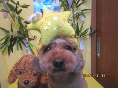 ファイル 7885-1.jpg