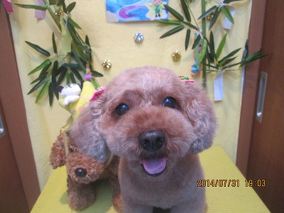 ファイル 7885-2.jpg