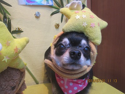 ファイル 7886-2.jpg