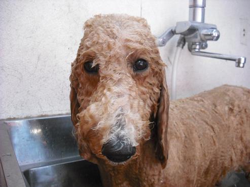 ファイル 789-2.jpg