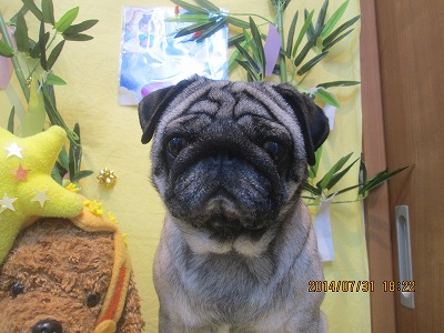 ファイル 7890-2.jpg