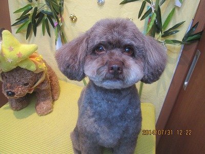 ファイル 7891-2.jpg