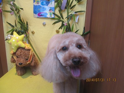 ファイル 7892-2.jpg