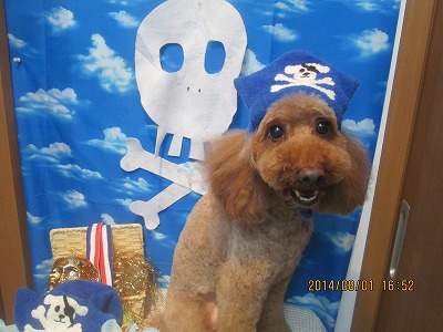 ファイル 7893-1.jpg