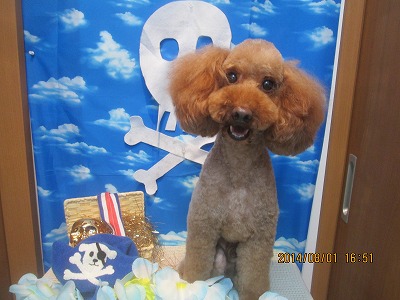 ファイル 7893-2.jpg