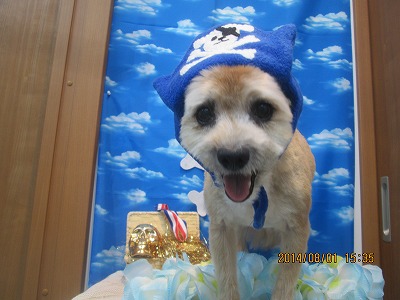 ファイル 7894-1.jpg