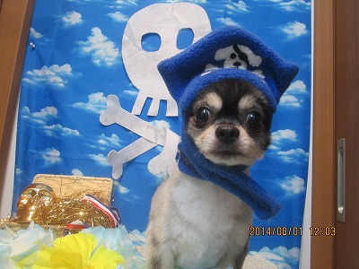 ファイル 7896-2.jpg