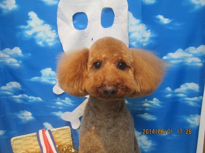 ファイル 7897-2.jpg