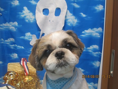 ファイル 7898-2.jpg