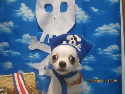 ファイル 7899-1.jpg