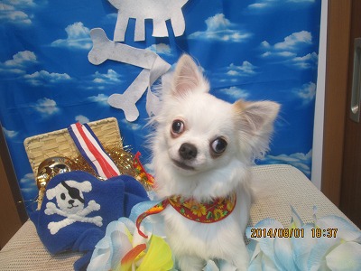 ファイル 7899-2.jpg