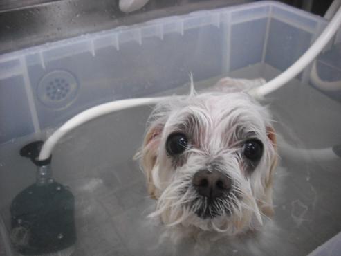 ファイル 79-2.jpg