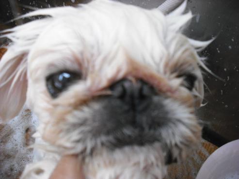 ファイル 790-2.jpg