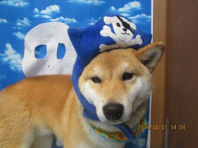 ファイル 7901-1.jpg