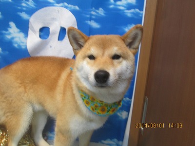 ファイル 7901-2.jpg