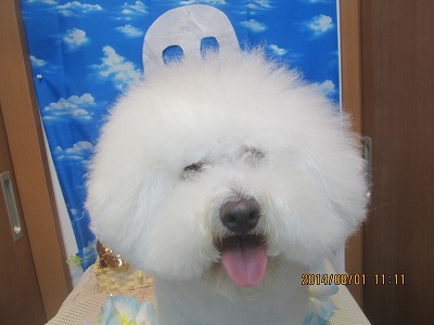 ファイル 7902-2.jpg