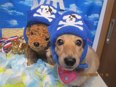 ファイル 7903-1.jpg