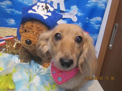 ファイル 7903-2.jpg