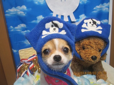 ファイル 7904-1.jpg