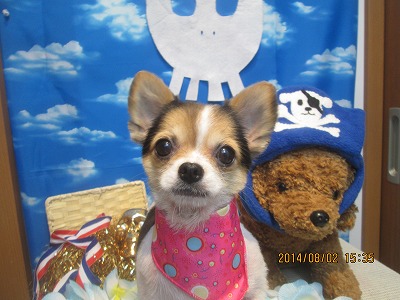 ファイル 7904-2.jpg