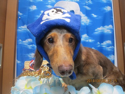 ファイル 7905-1.jpg