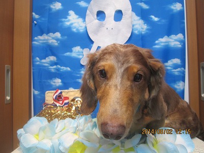 ファイル 7905-2.jpg