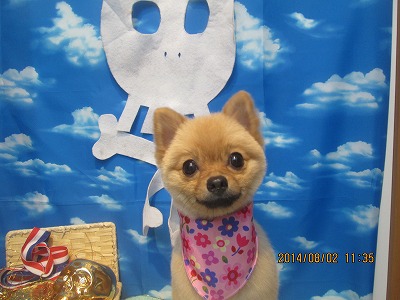 ファイル 7906-2.jpg