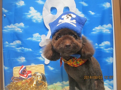 ファイル 7907-1.jpg