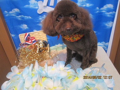 ファイル 7907-2.jpg