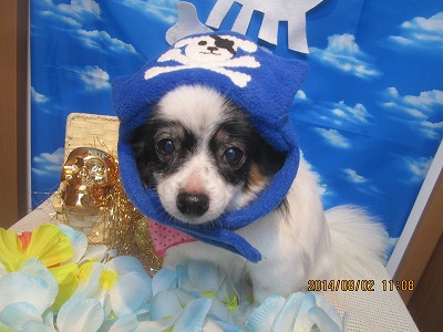 ファイル 7908-1.jpg