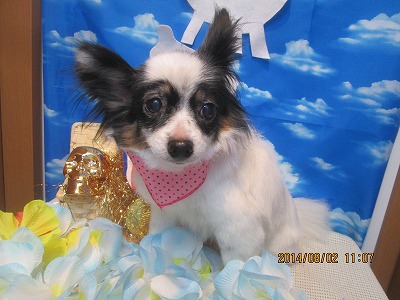 ファイル 7908-2.jpg