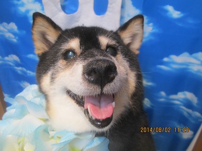 ファイル 7909-2.jpg