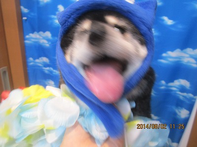 ファイル 7909-3.jpg