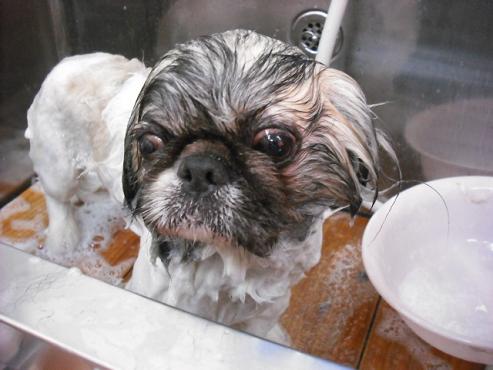 ファイル 791-2.jpg