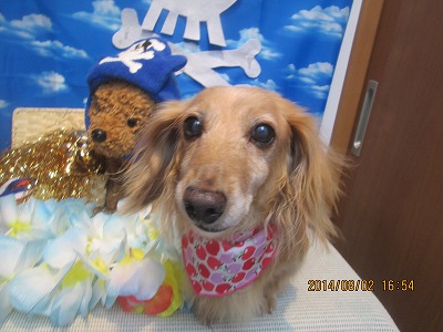 ファイル 7910-2.jpg