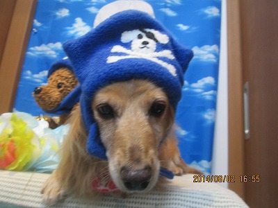 ファイル 7910-3.jpg