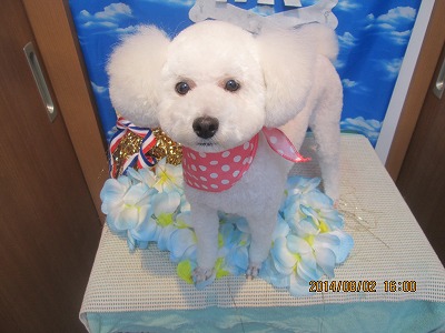 ファイル 7912-1.jpg