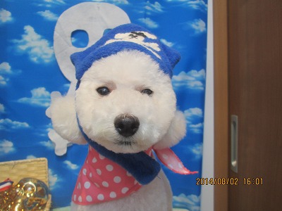 ファイル 7912-2.jpg