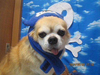 ファイル 7913-1.jpg