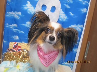 ファイル 7914-2.jpg