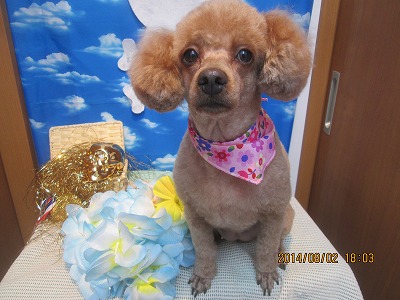 ファイル 7915-2.jpg