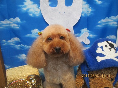 ファイル 7916-2.jpg