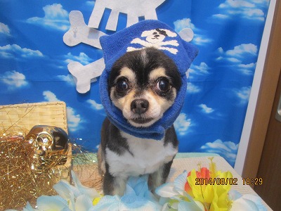 ファイル 7918-2.jpg