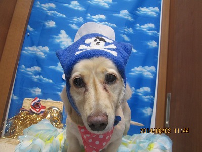 ファイル 7919-1.jpg