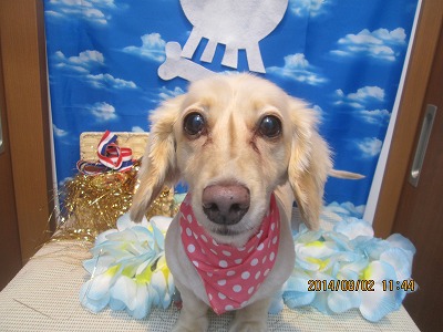 ファイル 7919-2.jpg